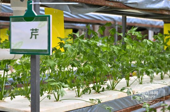 图1(1).png 图1(1).png