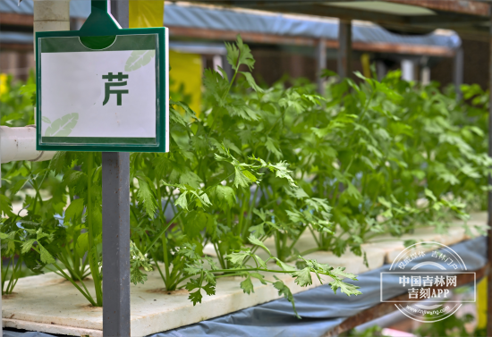 图2(1).png 图2(1).png