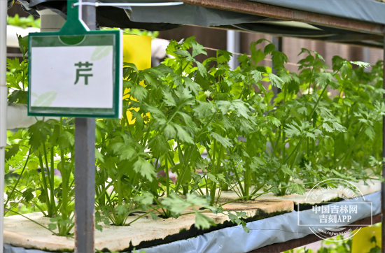 图3(1).png 图3(1).png