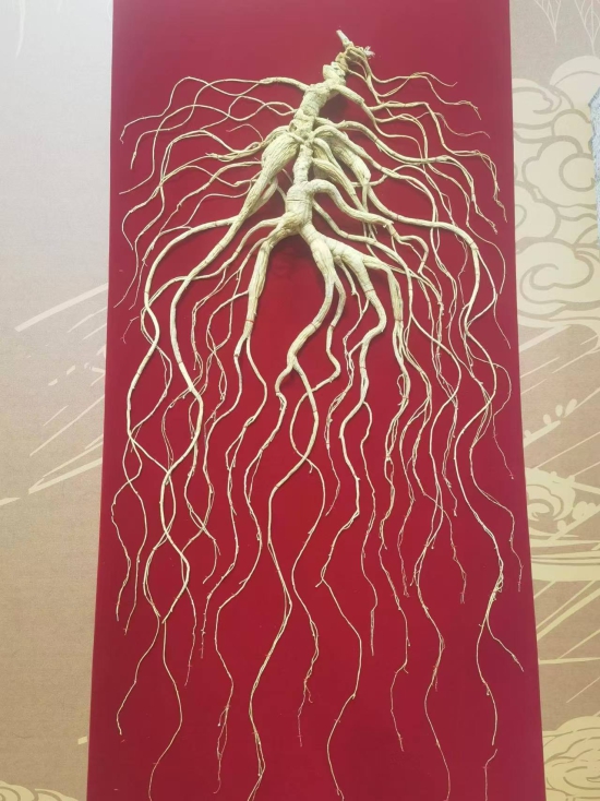 微信图片_20250816165101.jpg 微信图片_20250816165101.jpg