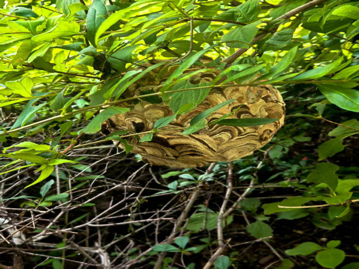 微信图片_20250822133145.jpg 微信图片_20250822133145.jpg