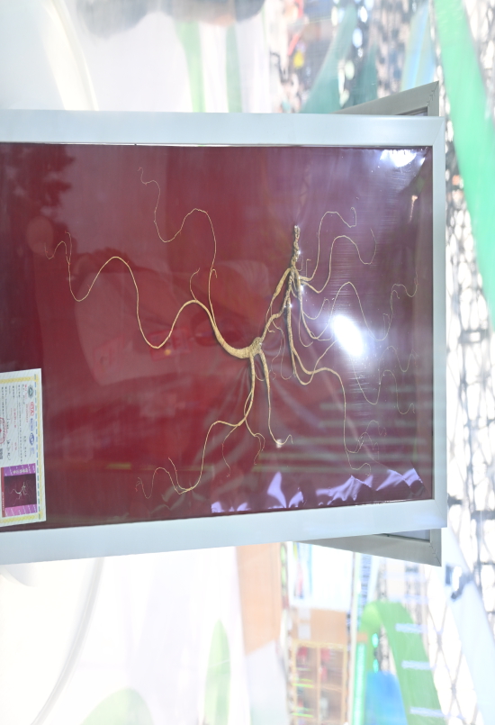 微信图片_20250827195201.jpg 微信图片_20250827195201.jpg