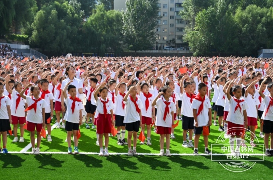 1757069940130.jpg 1757069940130.jpg