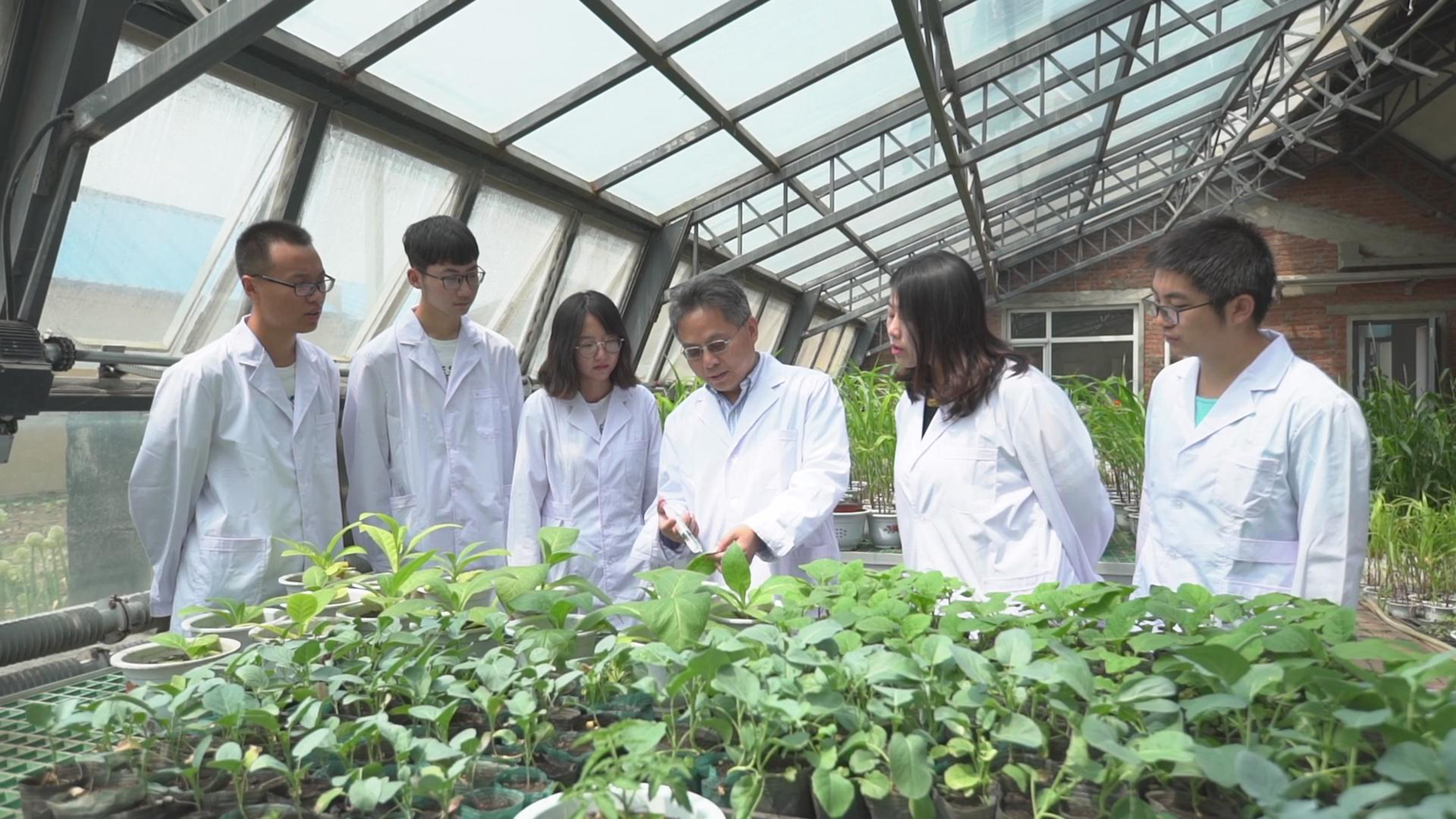 微信图片_20250914164028.jpg 微信图片_20250914164028.jpg