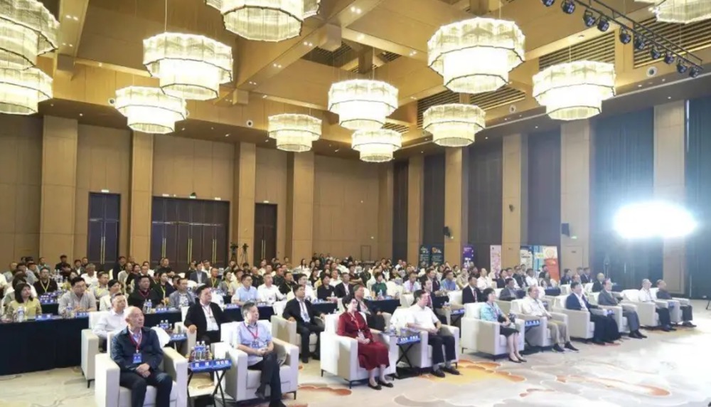 1758090500541.jpg 1758090500541.jpg