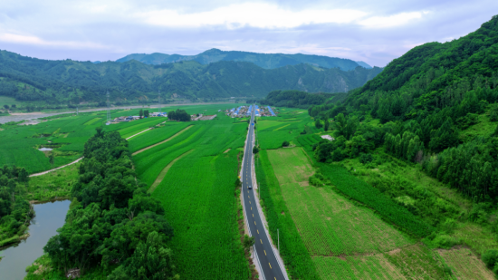 G331 2222.png G331 2222.png