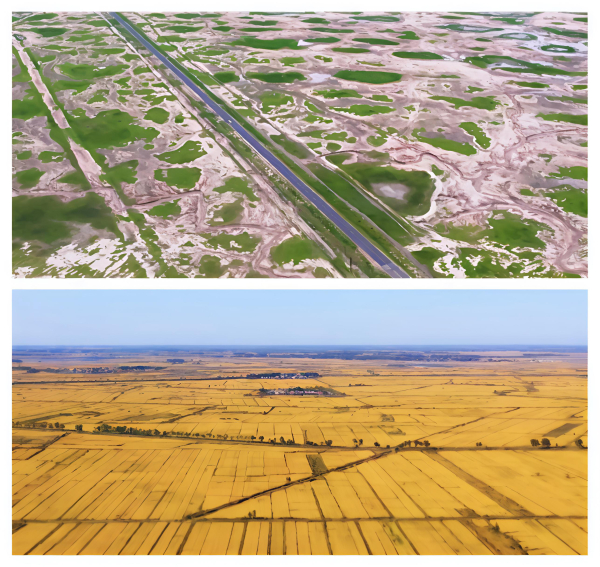 微信图片_20250924114336_240_750.jpg 微信图片_20250924114336_240_750.jpg