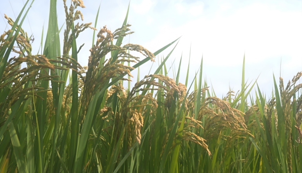 670d129ac7bc2fc1dae3355e8a7985e4.jpg 670d129ac7bc2fc1dae3355e8a7985e4.jpg