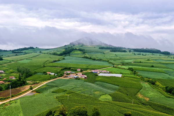 边境村.jpeg 边境村.jpeg