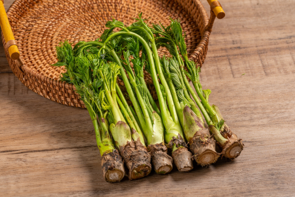 刺挠呀.jpeg 刺挠呀.jpeg