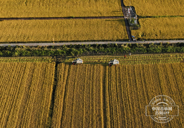 W020250923337404399403.jpg W020250923337404399403.jpg