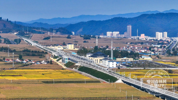 3afee4838e5078ae0b57d0c67b42fd3a.png 3afee4838e5078ae0b57d0c67b42fd3a.png