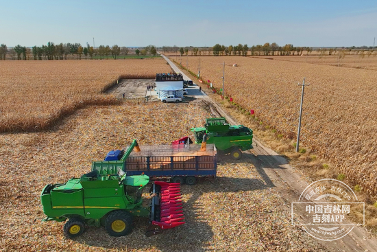 mmexport1760149339597.jpg mmexport1760149339597.jpg