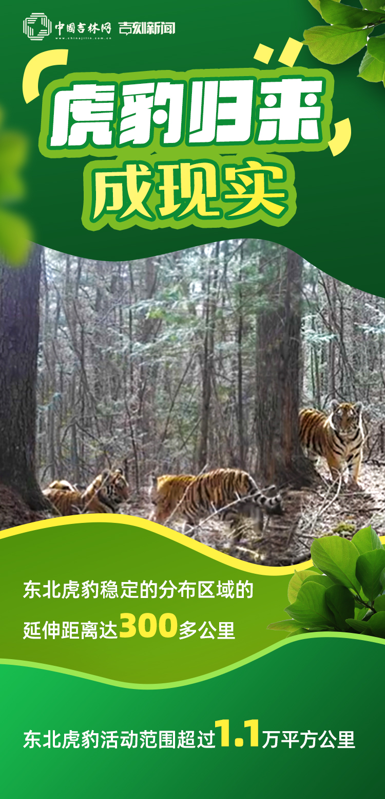 “成现实.jpg “成现实.jpg