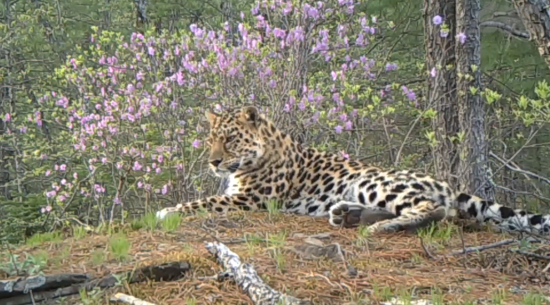 微信图片_20251011111059_10_140.png 微信图片_20251011111059_10_140.png