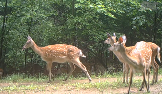 微信图片_20251011111055_5_140.png 微信图片_20251011111055_5_140.png