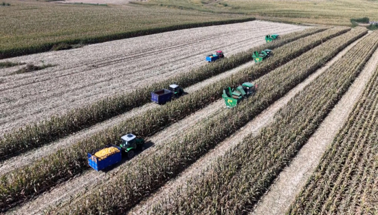 秋收.00_11_36_22.Still006.jpg 秋收.00_11_36_22.Still006.jpg