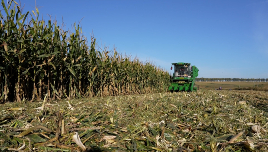 read_image.jpg read_image.jpg