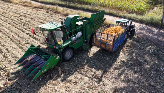 秋收.00_04_27_18.Still004.jpg 秋收.00_04_27_18.Still004.jpg