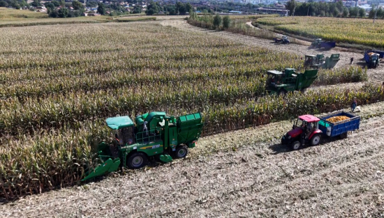 秋收.00_10_32_21.Still005.jpg 秋收.00_10_32_21.Still005.jpg