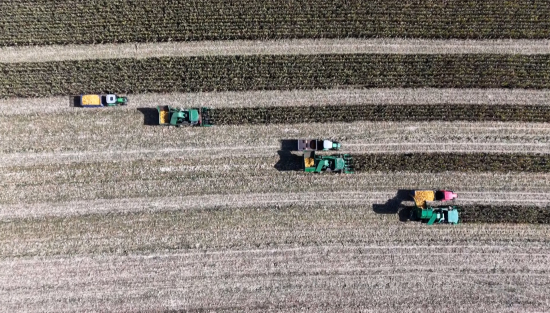 秋收.00_14_14_09.Still007.jpg 秋收.00_14_14_09.Still007.jpg