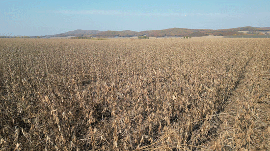 DJI_0404.gif DJI_0404.gif