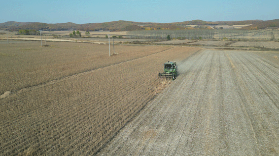 DJI_0421.gif DJI_0421.gif