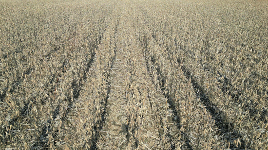 DJI_0409.gif DJI_0409.gif