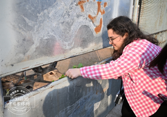 微信图片_20251014190626_250_206.jpg 微信图片_20251014190626_250_206.jpg