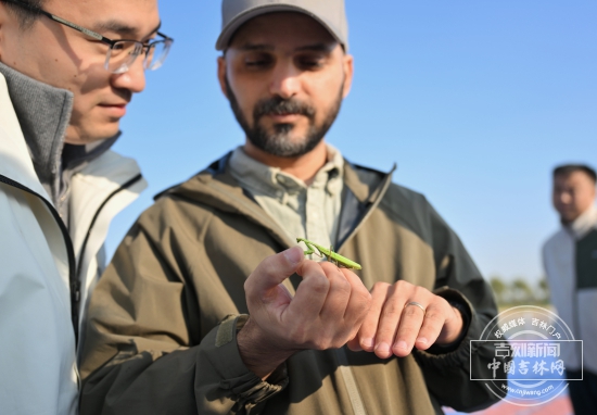 微信图片_20251013204546_171_206.jpg 微信图片_20251013204546_171_206.jpg