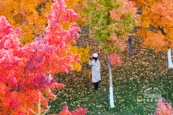 D17537ACEC669B7953517E157DB9B744.jpg D17537ACEC669B7953517E157DB9B744.jpg