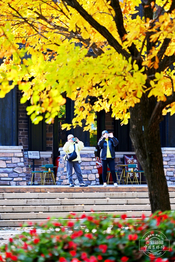 06D15D80BB189A654332E71C1DB0C50A.jpg 06D15D80BB189A654332E71C1DB0C50A.jpg