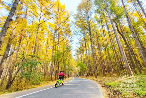 409D97AF3A221DBD2E8C738C75B5FCBC.jpg 409D97AF3A221DBD2E8C738C75B5FCBC.jpg