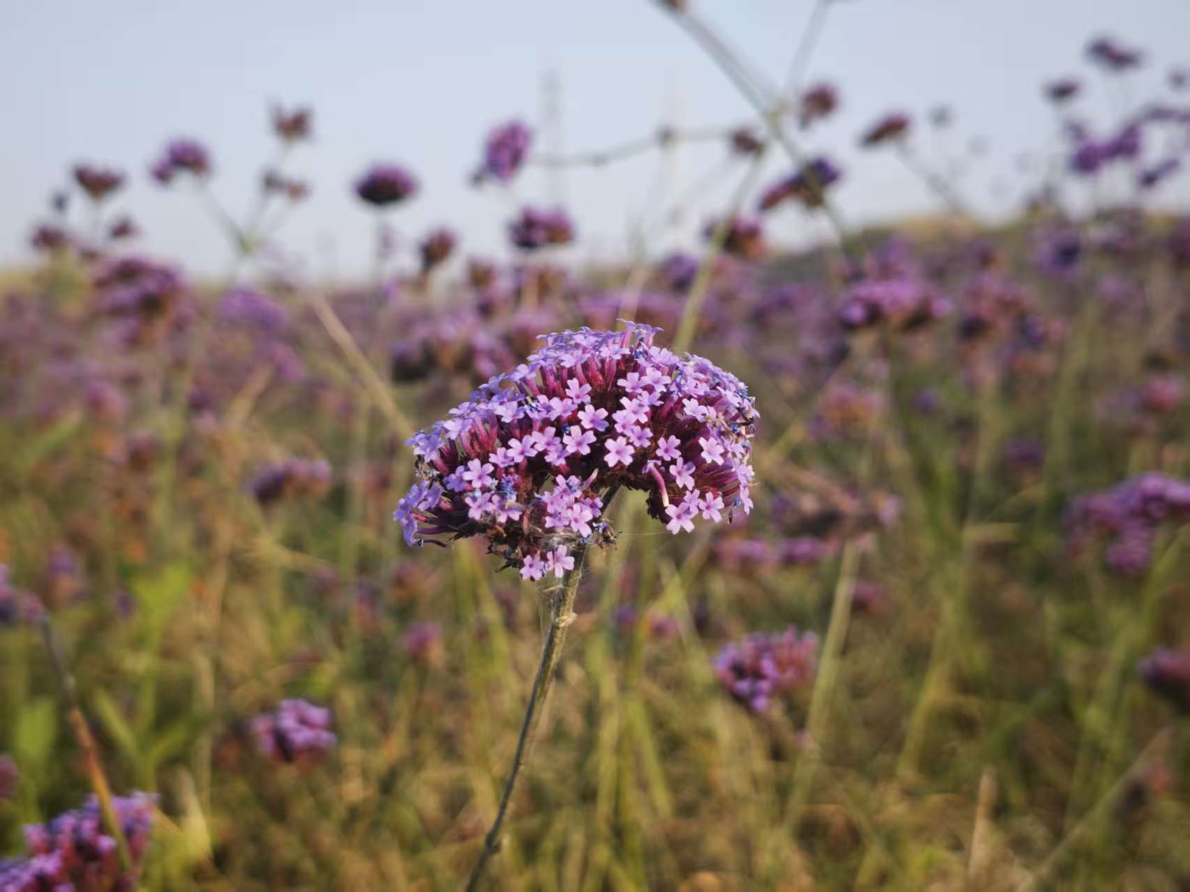 微信图片_20251022153834_275_111.jpg 微信图片_20251022153834_275_111.jpg