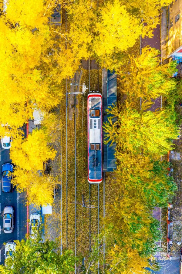 微信图片_20251022162452_818_53.jpg 微信图片_20251022162452_818_53.jpg