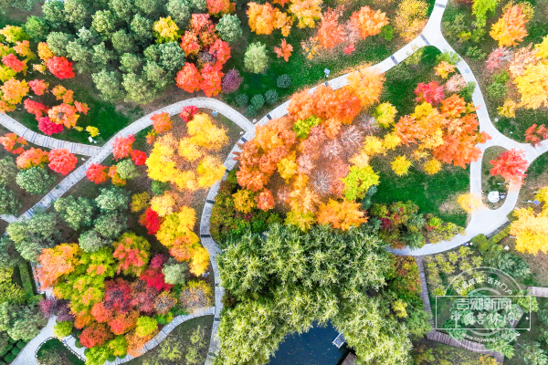 微信图片_20251022172408_33_354.jpg 微信图片_20251022172408_33_354.jpg