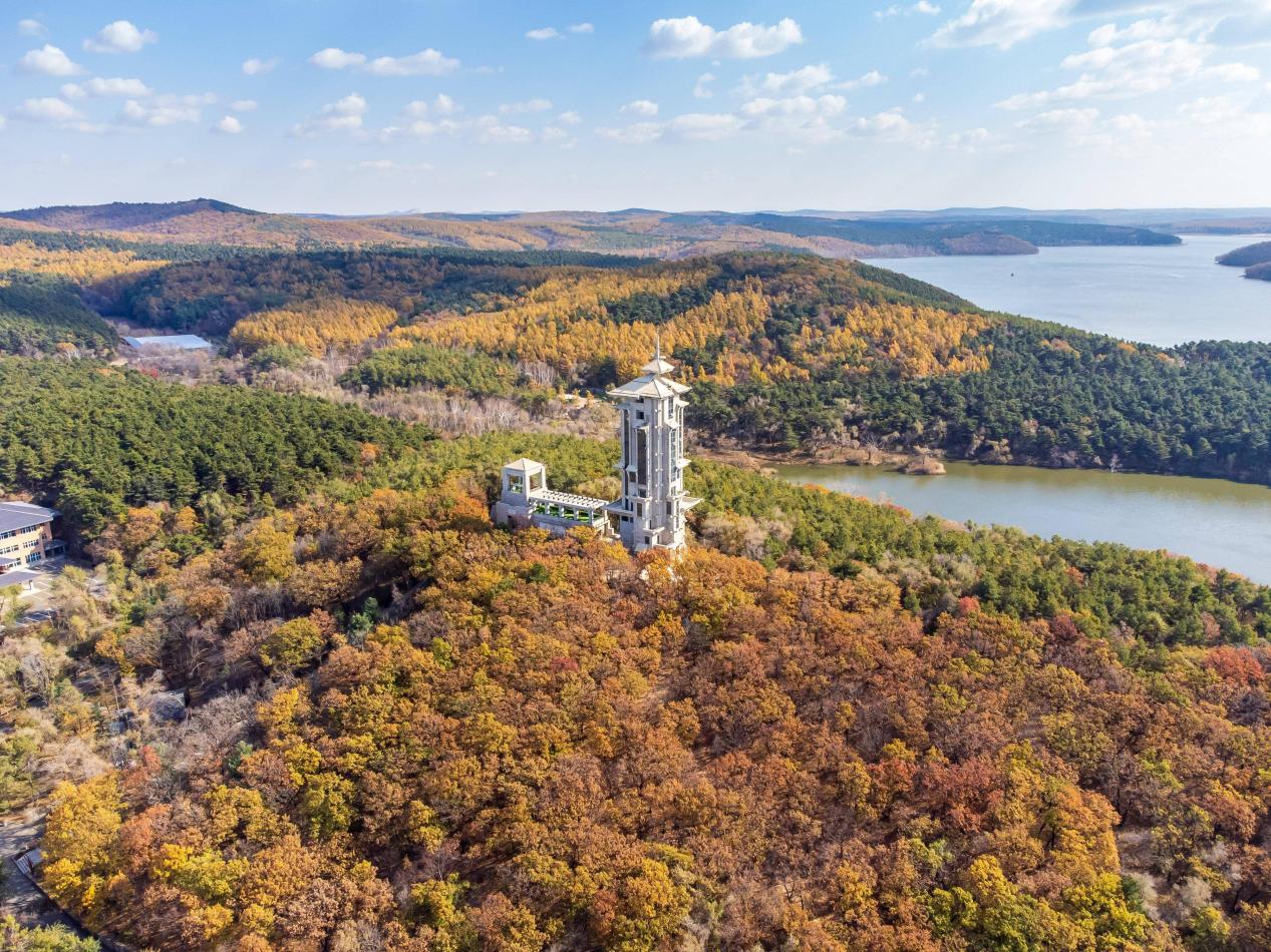 图片1.jpg 图片1.jpg