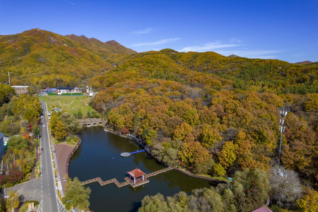 图片2.jpg 图片2.jpg