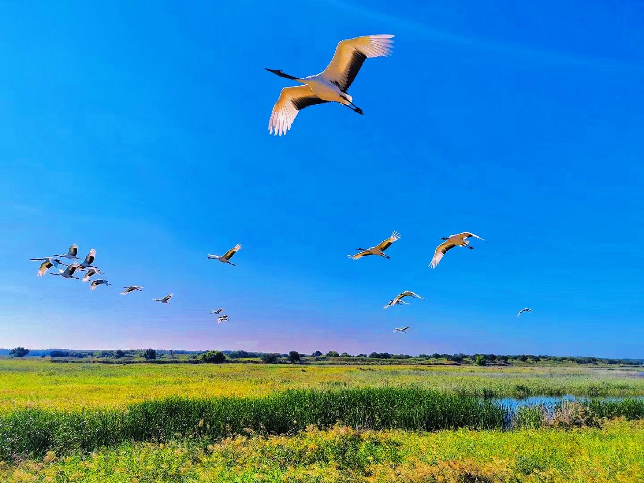 图片6.jpg 图片6.jpg