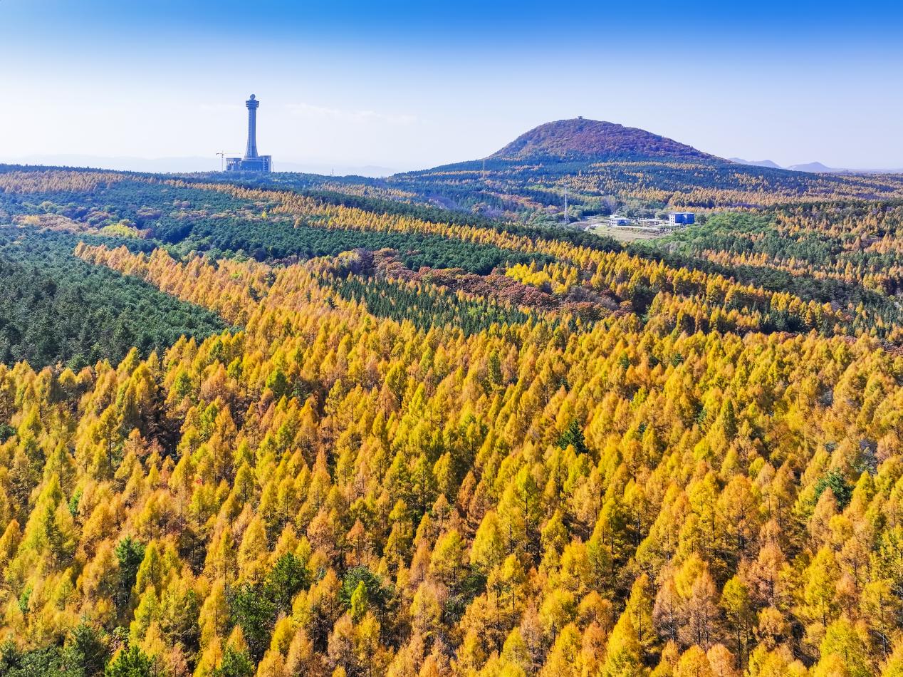 图片7.jpg 图片7.jpg