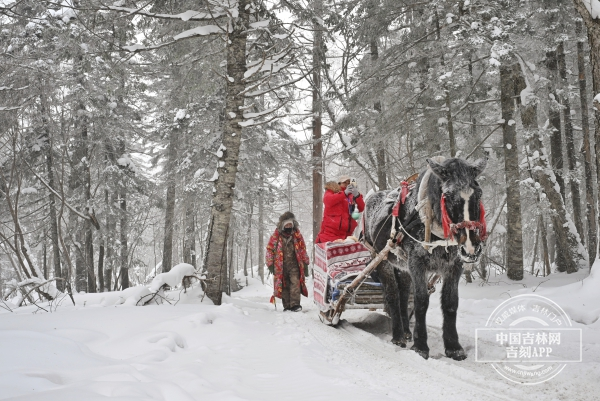 图片4.png 图片4.png