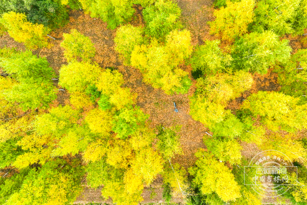 微信图片_20251022172755_145_200.jpg 微信图片_20251022172755_145_200.jpg