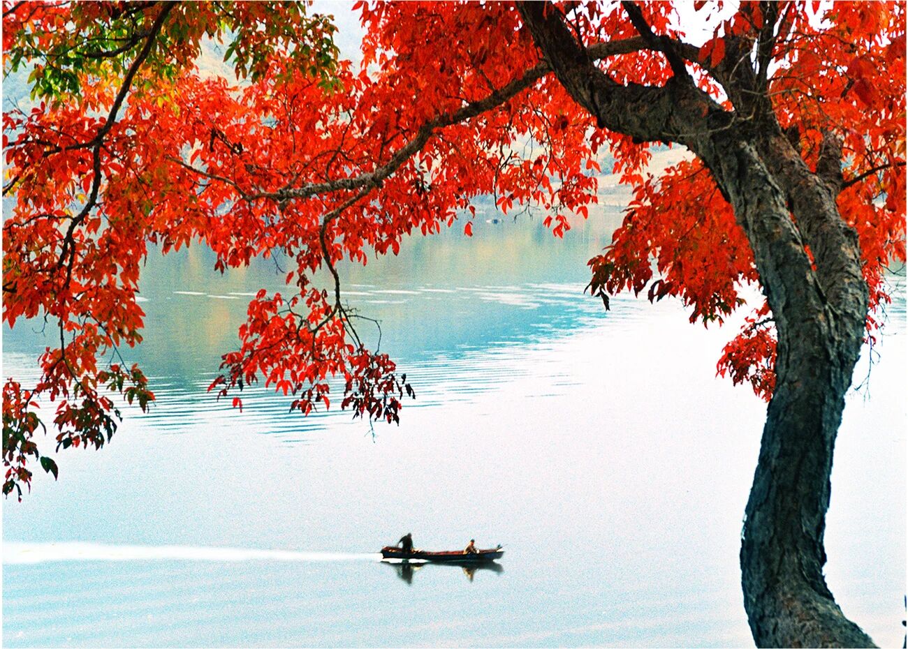 微信图片_2025-10-27_162257_197.jpg 微信图片_2025-10-27_162257_197.jpg