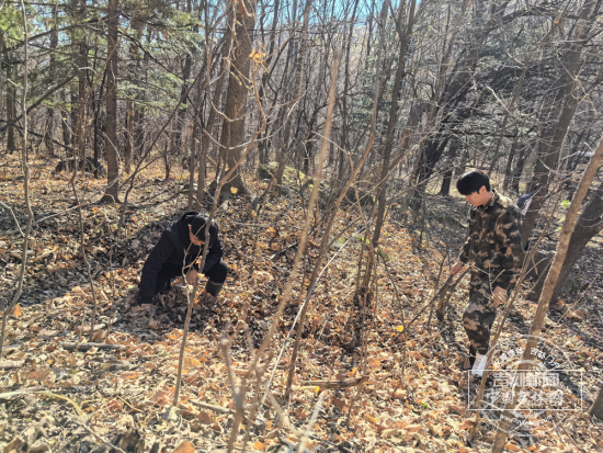 449322_副本.jpg 449322_副本.jpg