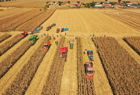 4图片作者李坤 拍摄地点梨树县凤凰山农机农民专业合作社.jpg 4图片作者李坤 拍摄地点梨树县凤凰山农机农民专业合作社.jpg