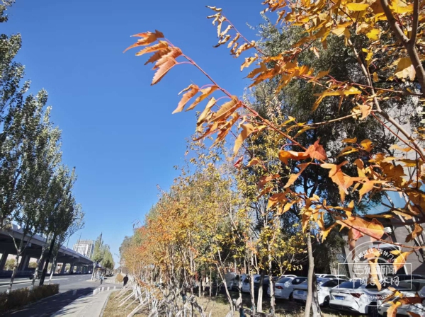 微信图片_20251030141223_155_40.jpg 微信图片_20251030141223_155_40.jpg