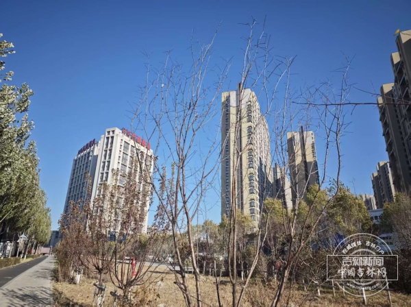 微信图片_20251103155522_191_40.jpg 微信图片_20251103155522_191_40.jpg