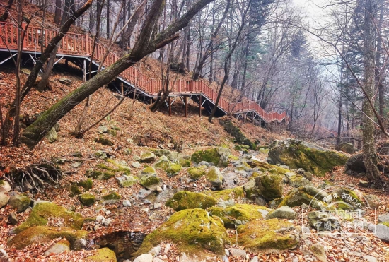 mmexport1762133614410.jpg mmexport1762133614410.jpg