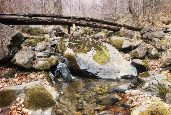 mmexport1762133616968.jpg mmexport1762133616968.jpg