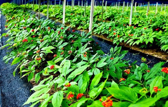 8a628896c3f0ed68c0a9200f4a2ac572.jpg 8a628896c3f0ed68c0a9200f4a2ac572.jpg